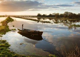 Barque dans le parc naturel régional des marais du Cotentin et du Bessin