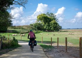 Auf der VéloWestNormandy, in der Bucht des Mont Saint-Michel