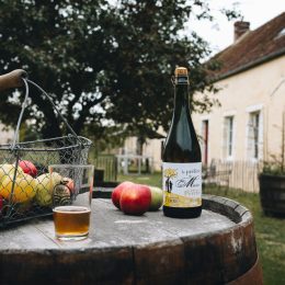 Cidre et pommes dans le Perche