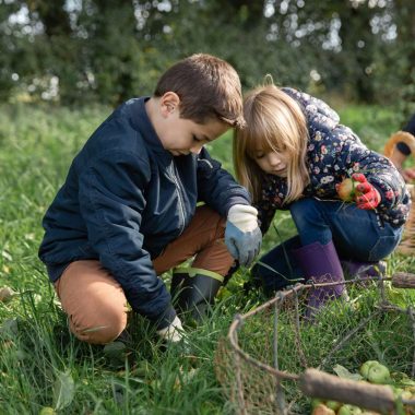 Kinder beim Apfelworkshop im Pays d'Auge