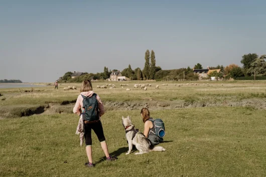 Urlaub mit Hund in der Normandie