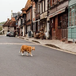 Slow Travel Tipps Normandie