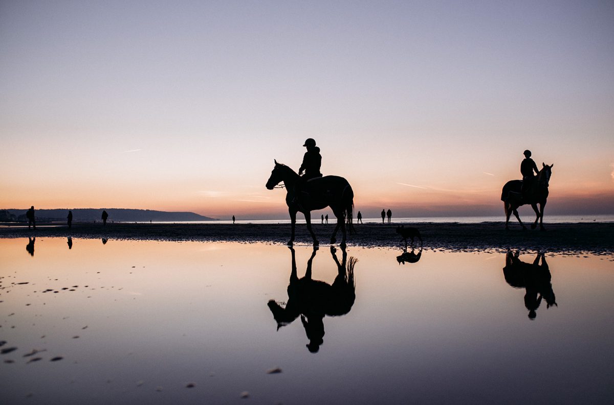 Pferde am Strand von Deauville